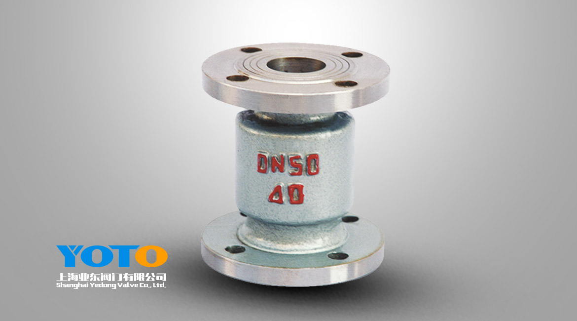 立式液化氣止回閥